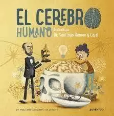 EL CEREBRO HUMANO