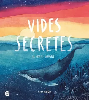 VIDES SECRETES